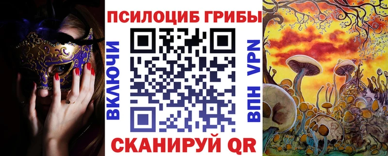 Псилоцибиновые грибы Psilocybine cubensis  даркнет сайт  omg tor  Саратов 