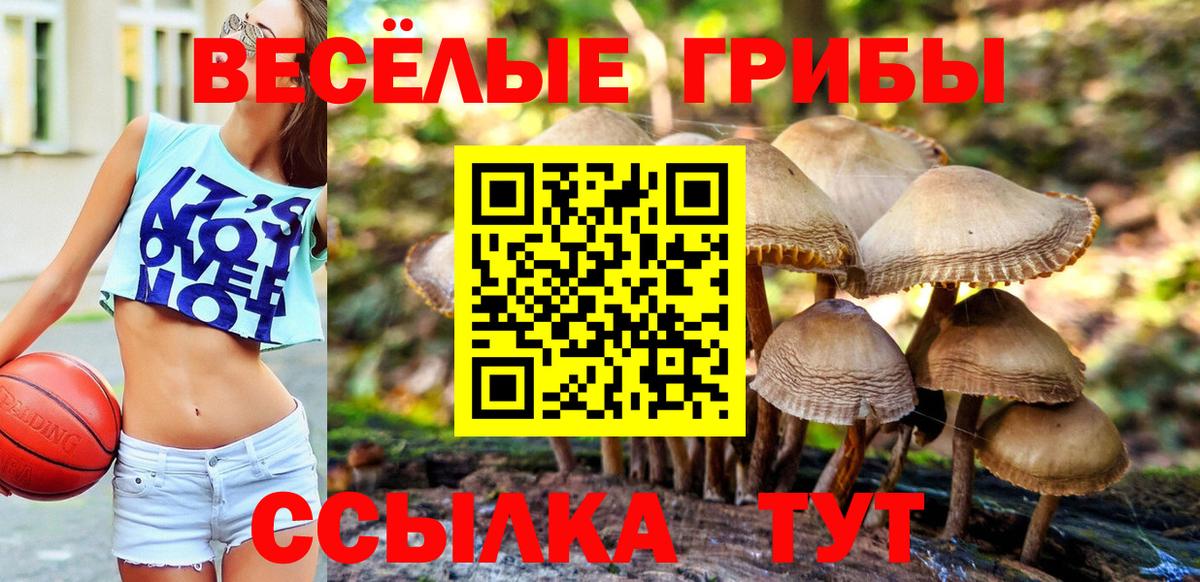 Галлюциногенные грибы ЛСД  Вход с VPN  закладка  Галлюциногенные грибы мухоморы  Саратов 