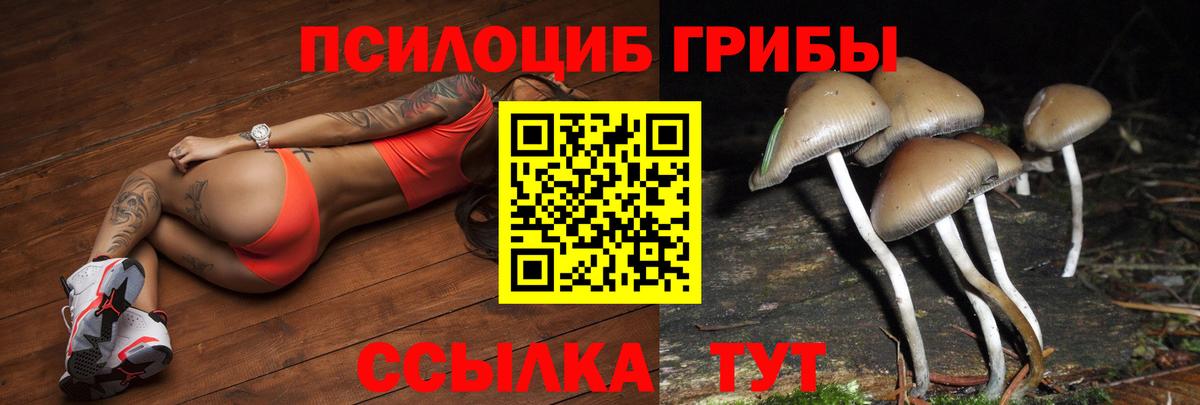 Галлюциногенные грибы прущие грибы Саратов